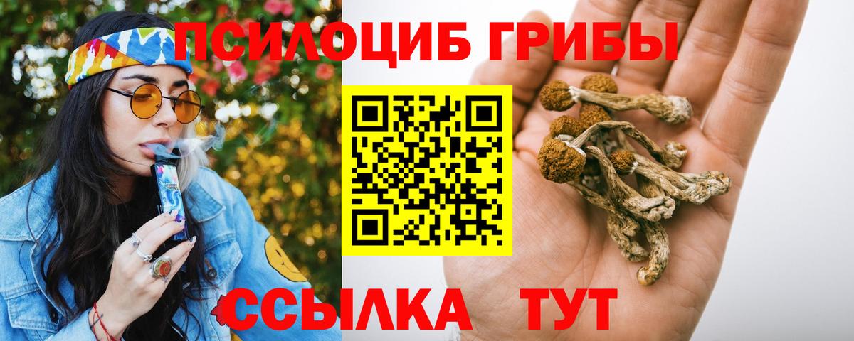 Псилоцибиновые грибы мицелий  Вход с VPN  Белая Калитва  наркотики  Псилоцибиновые грибы ЛСД 
